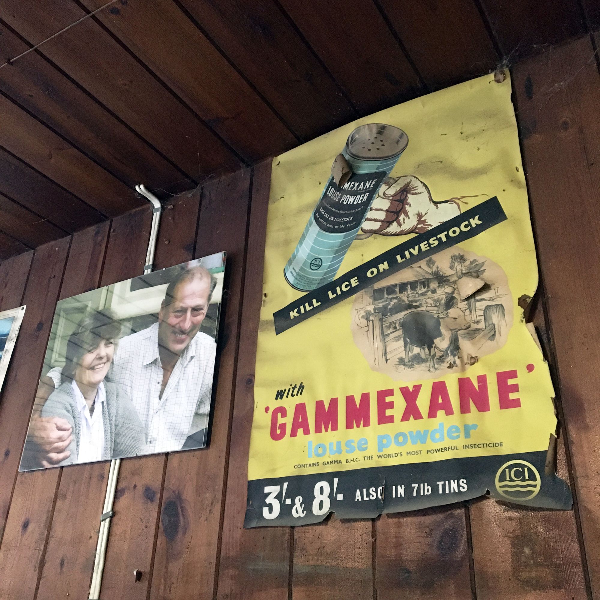 Photo of a married couple next to an advertising poster.