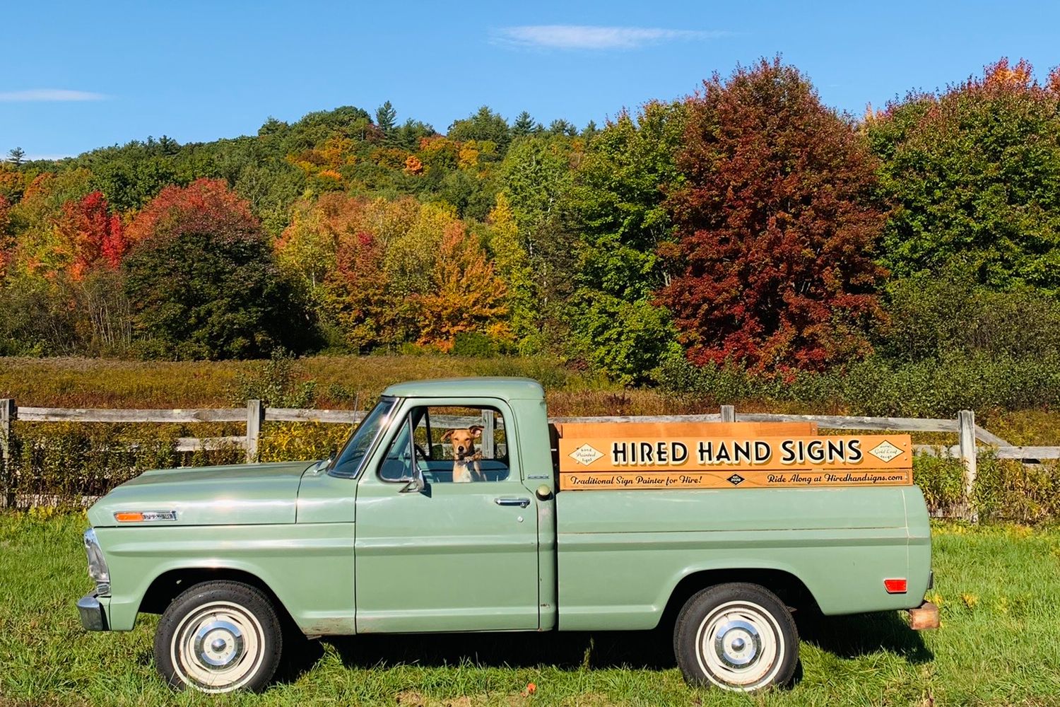 Truck painted green with a dog looking out of the driver's window.