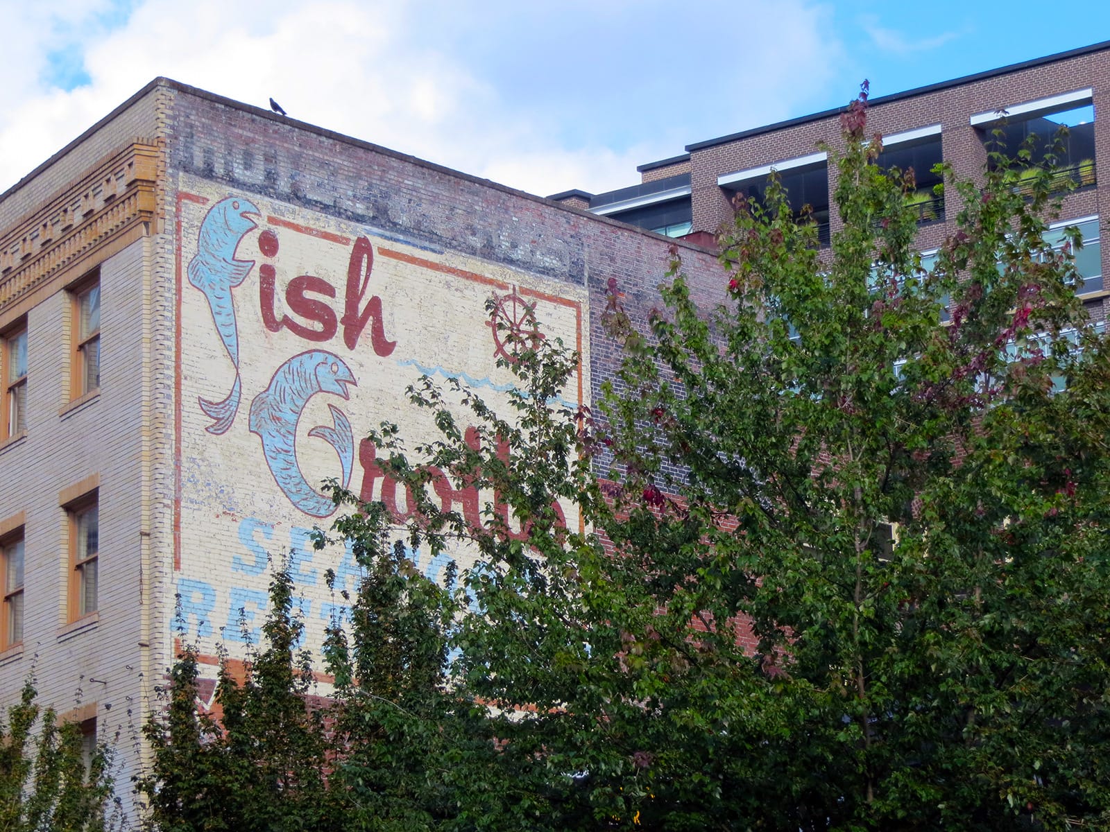 The corner of a building with a fading painted sign on a portion of the wall. It advertises the Fish Grotto, and the F of 'fish' and the G of 'grotto' are formed from painted fish.