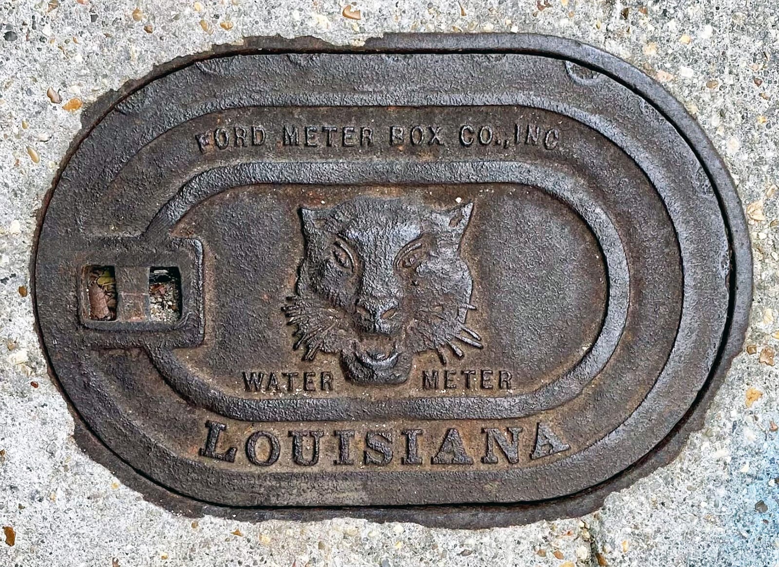 A lozenge-shaped manhole cover with a big cat's head in the middle. Relief lettering reads "Ford Meter Box Co., Inc. Water Meter. Louisiana".