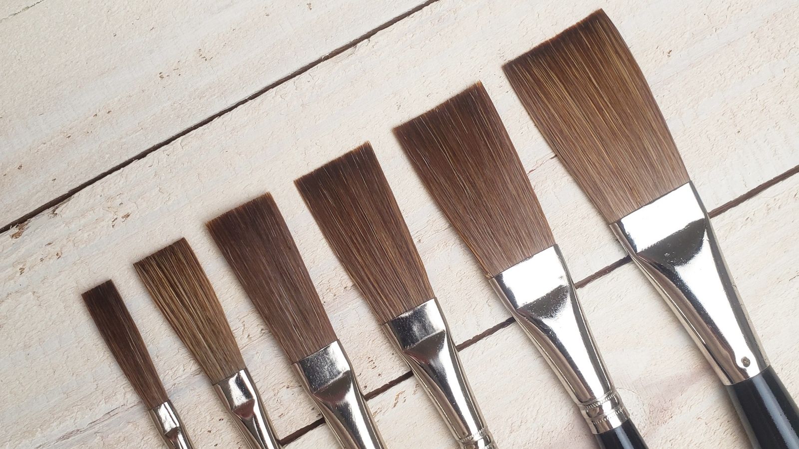 The ferrule and hairs of six flat sign painting brushes.